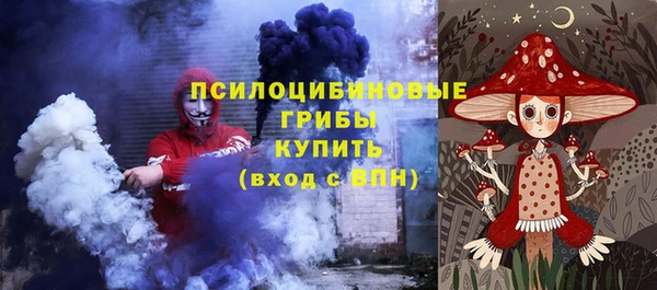 крисы Инсар