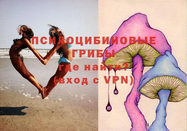 мяу мяу мука Абаза